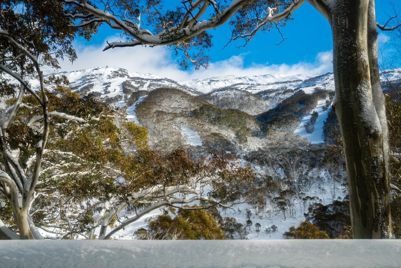 Pure Chalet Thredbo Hotel Exterior photo