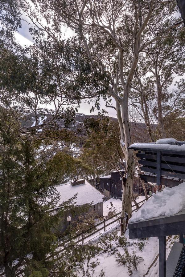 Pure Chalet Thredbo Hotel Exterior photo