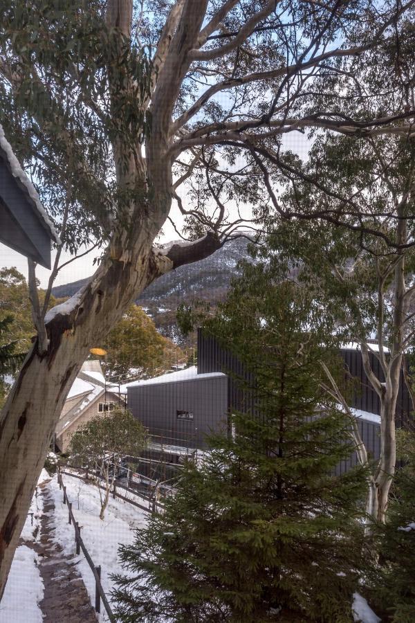 Pure Chalet Thredbo Hotel Exterior photo